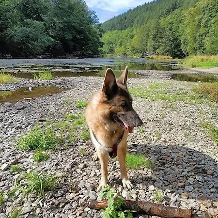 Chalet Vakantiewoning Clair De Lune Minimum 2 Nachten