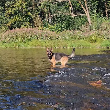 Chalet Vakantiewoning Clair De Lune Minimum 2 Nachten *