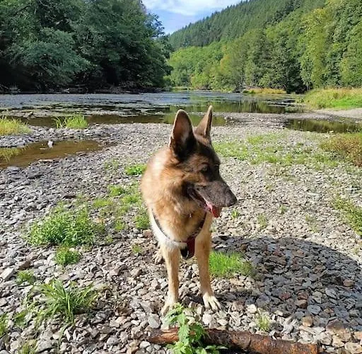 シャレー Vakantiewoning Clair De Lune Minimum 2 Nachten